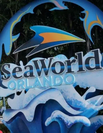 Letrero de la entrada de SeaWorld Orlando bajo un cielo azul claro, invitando a los visitantes a explorar la vida marina, montañas rusas y espectáculos.